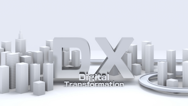 DXコンサルティングサービス(企画・体制構築・運用)
